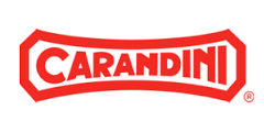 CARANDINI